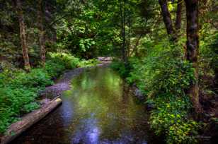 Prairie Creek-3752.jpg Prairie Creek-3752.jpg